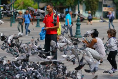 05 Ekim 2018, Atina, Yunanistan insanlar güvercinler Meydanı'nda yüzlerce oynamak