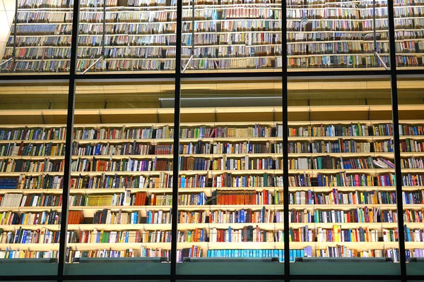 Vista Milhares Livros Biblioteca Nacional Letônia Riga — Fotografia de Stock