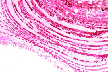 Orijinal mürekkep resminin bir parçası, makro fotoğraf.