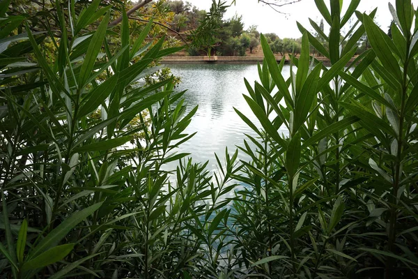 Blick auf den Votomenos-See, einen wunderschönen künstlichen See auf Kreta — Stockfoto