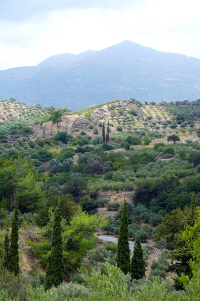 Vista del campo, de las colinas con montañas en el fondo en Creta —  Fotos de Stock