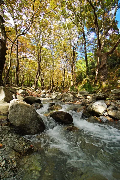 유보에아 섬 의 중앙 부분에 있는 스테니 디르피오스에서 가을에 맑은 강과 숲 — 스톡 사진