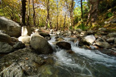Euboea adasının orta kesiminde Steni Dirfyos sonbaharda kristal berraklığında nehir ve orman