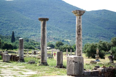 Güney Mora'daki Messini antik arkeoloji klübündeki sütunların ayrıntıları