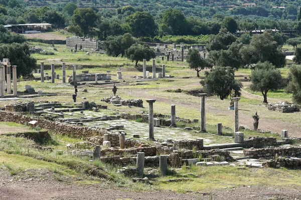 Vista panorámica del antiguo yacimiento arqueológico de Messini, Peloponeso meridional —  Fotos de Stock