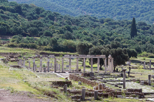 Panoramic view of the ancient Messini archaeological site, south Peloponnese