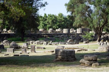 Olympia arkeolojik sahasında tapınak ve zeytin ağaçları kalıntıları