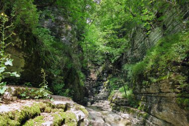 Papingo Kaya Havuzları, nehir tarafından oluşturulan birçok güzel gölettir.