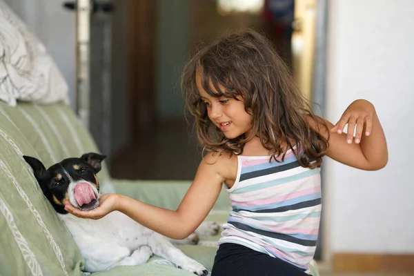 Jaar Oud Meisje Speelt Strelt Haar Kleine Hond Glimlacht — Stockfoto