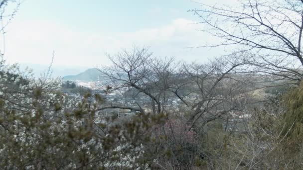 Vista Lejana Ciudad Fukushima Valle Montañas Nevadas Horizonte — Vídeos de Stock