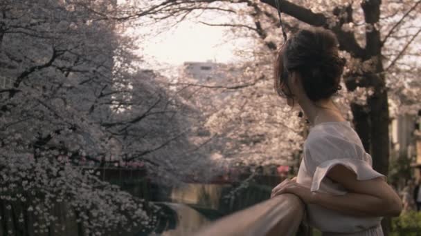 Asian Woman Leaning Elbows Railing Looking River Cherry Blossom — Stock Video