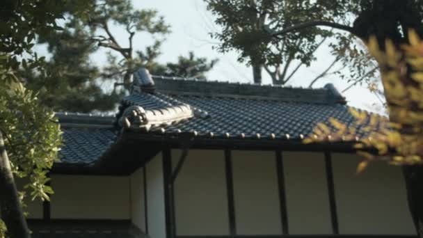 Tiled Darck Roof Japanese Style Trees — Stock Video