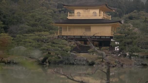Utsikt Över Gamla Gyllene Templet Kyoto Japan Skog — Stockvideo