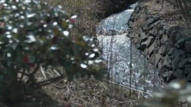 taş shore ile sığ bir dağ dere