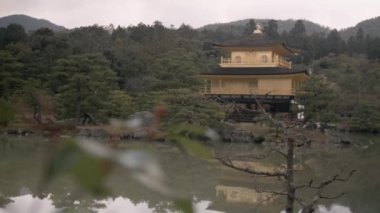 Orman, Kyoto, Japonya Eski altın Tapınağı görünümünü 