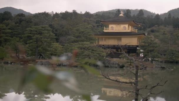 Pohled Starý Zlatý Chrám Lese Kjóto Japonsko — Stock video