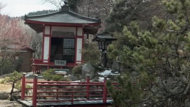 Old Buddhist Shrine Trees Japan — Stock Video