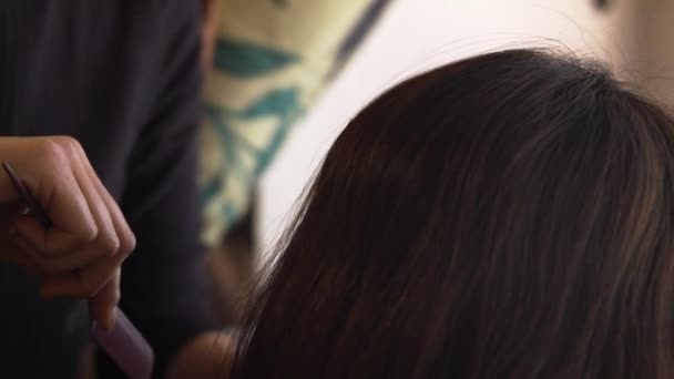 プロのヘアケア メイクアップ アーティストの髪をブラッシング — ストック動画