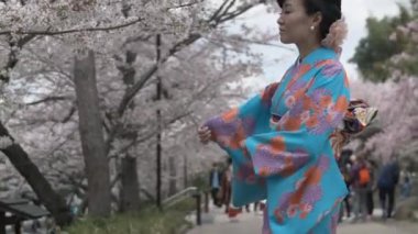 Kiraz çiçeği ağaçların altında mavi kimono çarpıcı kadın