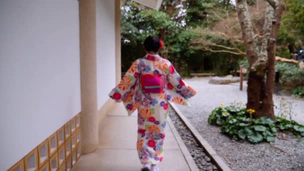 Mulher Japonesa Quimono Caminhando Pelo Caminho Lado Templo Jardim — Vídeo de Stock