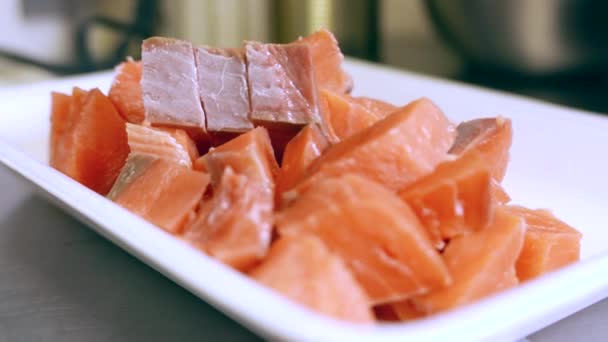 View Fresh Pieces Salmon White Plate — Stock Video