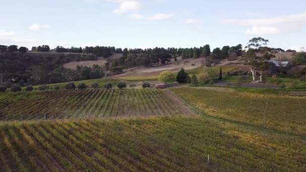 Luchtfoto Van Prachtige Wijngaard Yarra Valley Australië — Stockvideo