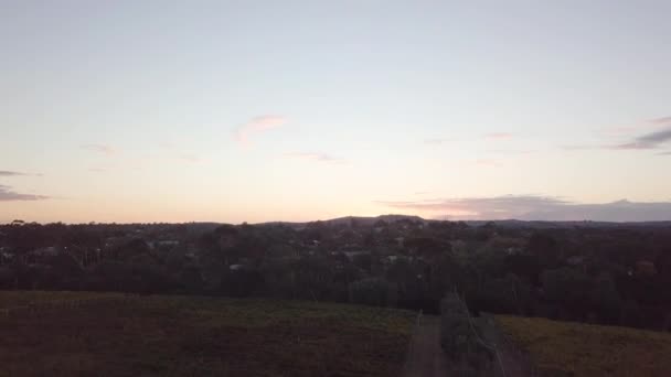 Aerial View Sunrise Yarra Valley Australia — Stock Video