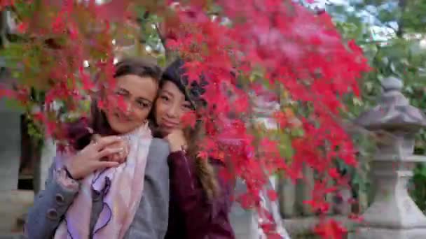 Amici Internazionali Kyoto Con Foglie Autunno Sorridenti Alla Macchina Fotografica — Video Stock