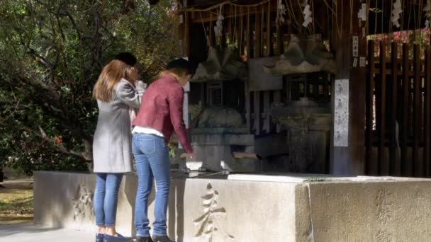 Жінки Миють Руки Традиційних Японських Shrine — стокове відео