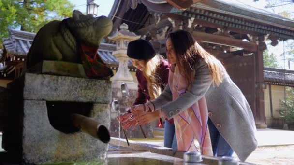 Привлекательные Женщины Моют Руки Храме Киото Замедленная Съемка — стоковое видео