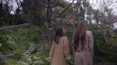 Çatı bahçesinde dolaşan Japon kadınlar, 4k