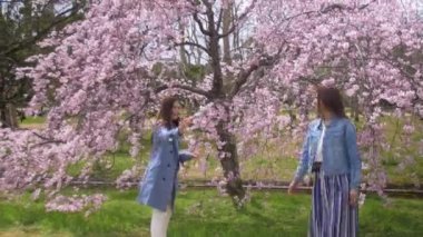 Japon kiraz çiçeği Park bahar, 4k kabarcık üfleyiciler ile oynayan kadınlar