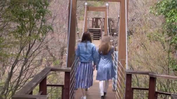 Two Friends Walking Suspended Bridge Big Park — Stock Video