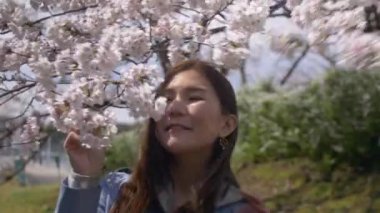 Cherry Blossom ağacı, 4k tarafından gülümseyen çekici Japon kadının portresi