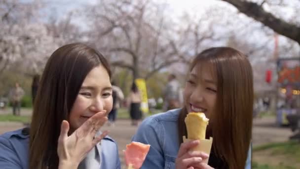 Mujeres Japonesas Disfrutando Temporada Flores Cerezo Comiendo Comida Callejera Parque — Vídeo de stock