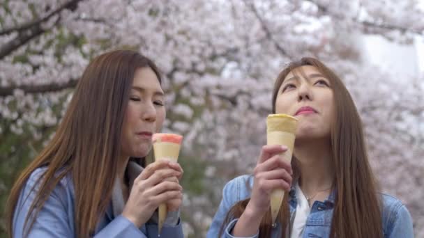 两个美丽的日本朋友在日本樱花公园吃美味的街头食品 — 图库视频影像