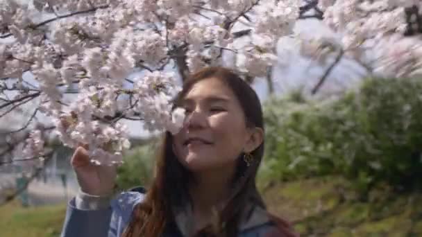 Retrato Mulher Japonesa Atraente Sorrindo Por Árvore Flor Cereja — Vídeo de Stock