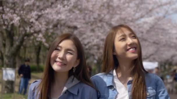 Ιαπωνικές Γυναίκες Χαμογελούν Και Περπατούν Πάρκο Ανθισμένης Κερασιάς Στην Ιαπωνία — Αρχείο Βίντεο