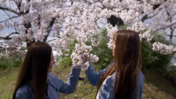 Amigos Atraentes Felizes Ver Novas Flores Cereja Japão — Vídeo de Stock