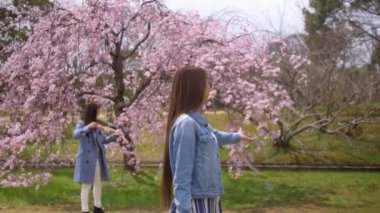Kiraz çiçeği parkta kabarcıklar ile oynayan güzel Japon kadınlar, Yavaş Hareket.