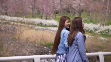 Güzel bahar parkında yürüyen Japon kadınlar, Slow-Motion.