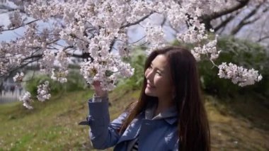 Kiraz çiçeği ile gülümseyen çekici Japon kadın, Yavaş Hareket.