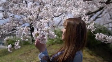 Kiraz çiçeği ile gülümseyen güzel Japon kadın, Yavaş Hareket.