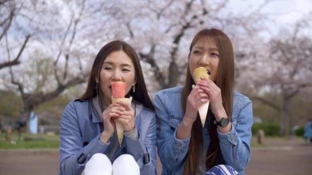 Dos amigos comiendo dulces en el parque de flores de cerezo, Slow-Moton . — Vídeos de Stock