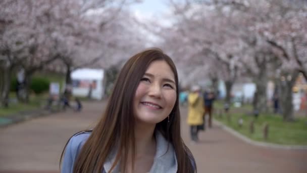 Ελκυστική ιαπωνική γυναίκα που περπατάει μέσα από το πάρκο άνθος κερασιάς, αργή κίνηση. — Αρχείο Βίντεο