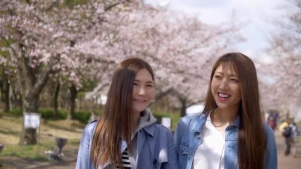 Attraktive Frauen, die in Zeitlupe durch den Kirschblütenpark laufen. — Stockvideo