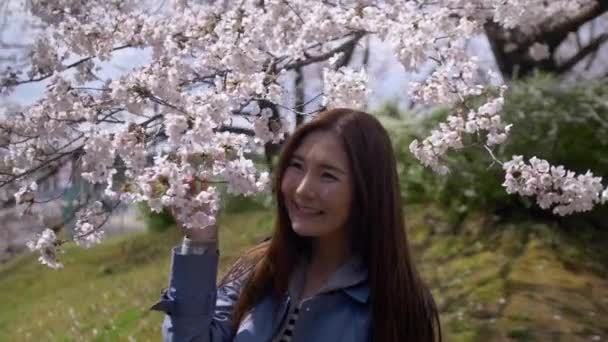 Vacker japansk kvinna leende med körsbärsblomma, slow-motion. — Stockvideo