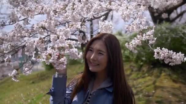 Hermosa mujer japonesa sonriendo con flor de cerezo, Slow-Motion . — Vídeo de stock