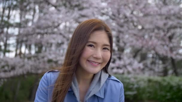 Cute Japanese woman enjoying cherry blossoms in spring, Slow-Motion. — Stock Video