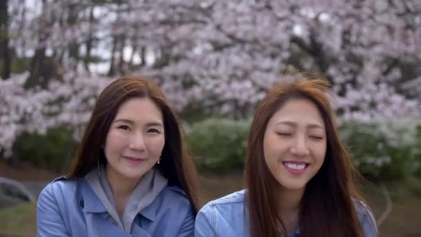 Θηλυκές φίλες που χαμογελούν κατά τη διάρκεια της άνοιξης κερασιάς, αργή κίνηση. — Αρχείο Βίντεο